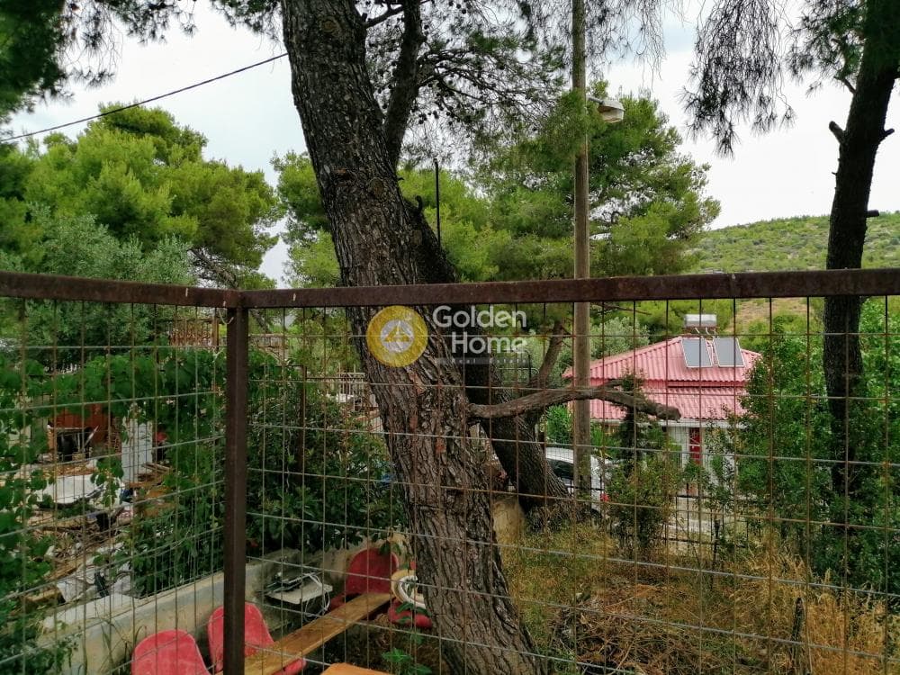 Μονοκατοικία στην Κεφαλάρι, Κηφισιά — Φωτογραφία 13 από 14