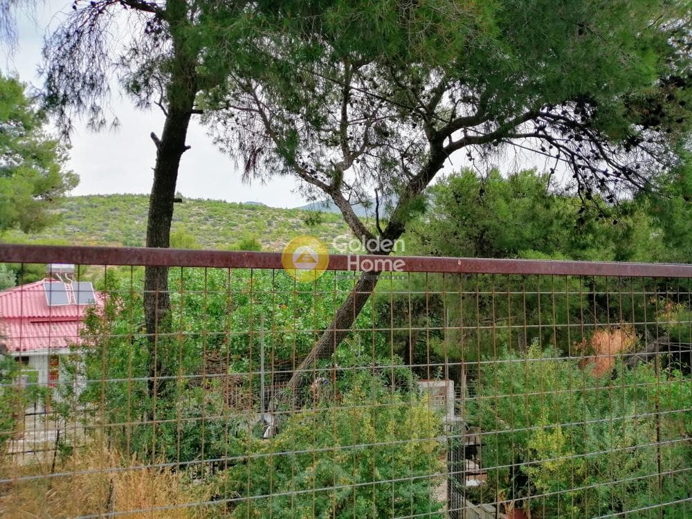 Μονοκατοικία στην Κεφαλάρι, Κηφισιά — Φωτογραφία 11 από 14