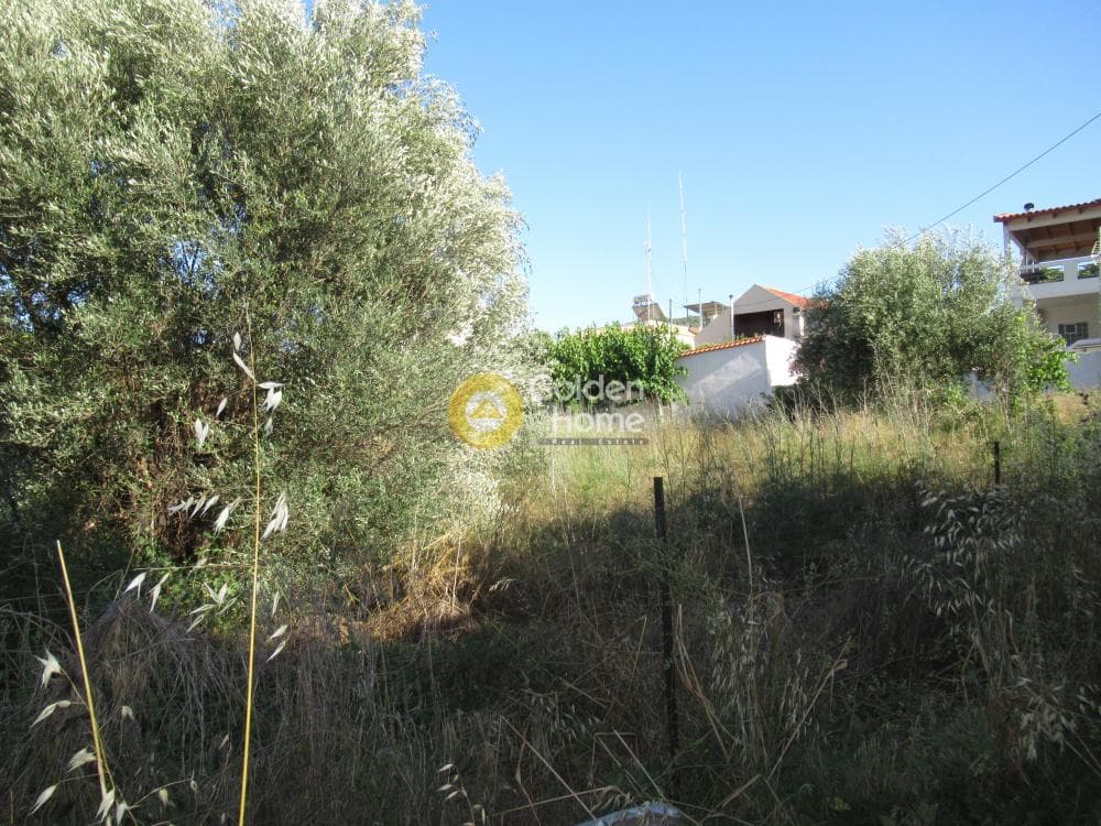 Building Plot in Porto Rafti, Vravrona — Photo 12 of 14