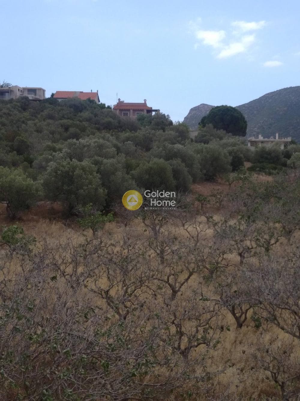 Μονοκατοικία στην Λίμνη Μαρκοπούλου, Μαρκόπουλο — Φωτογραφία 11 από 38