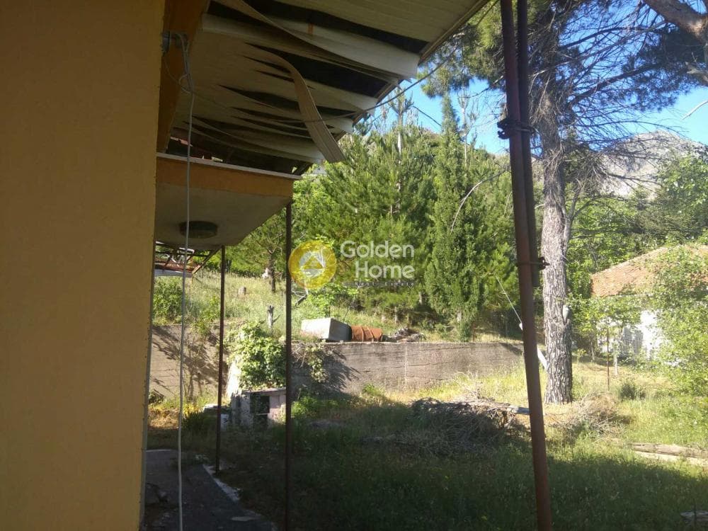 Μονοκατοικία στην Φτέρη, Αίγιο — Φωτογραφία 16 από 17