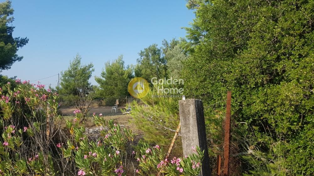 Αγροτεμάχιο στην Μεγάλα Σχοινία Α, Αχαρνές — Φωτογραφία 2 από 6