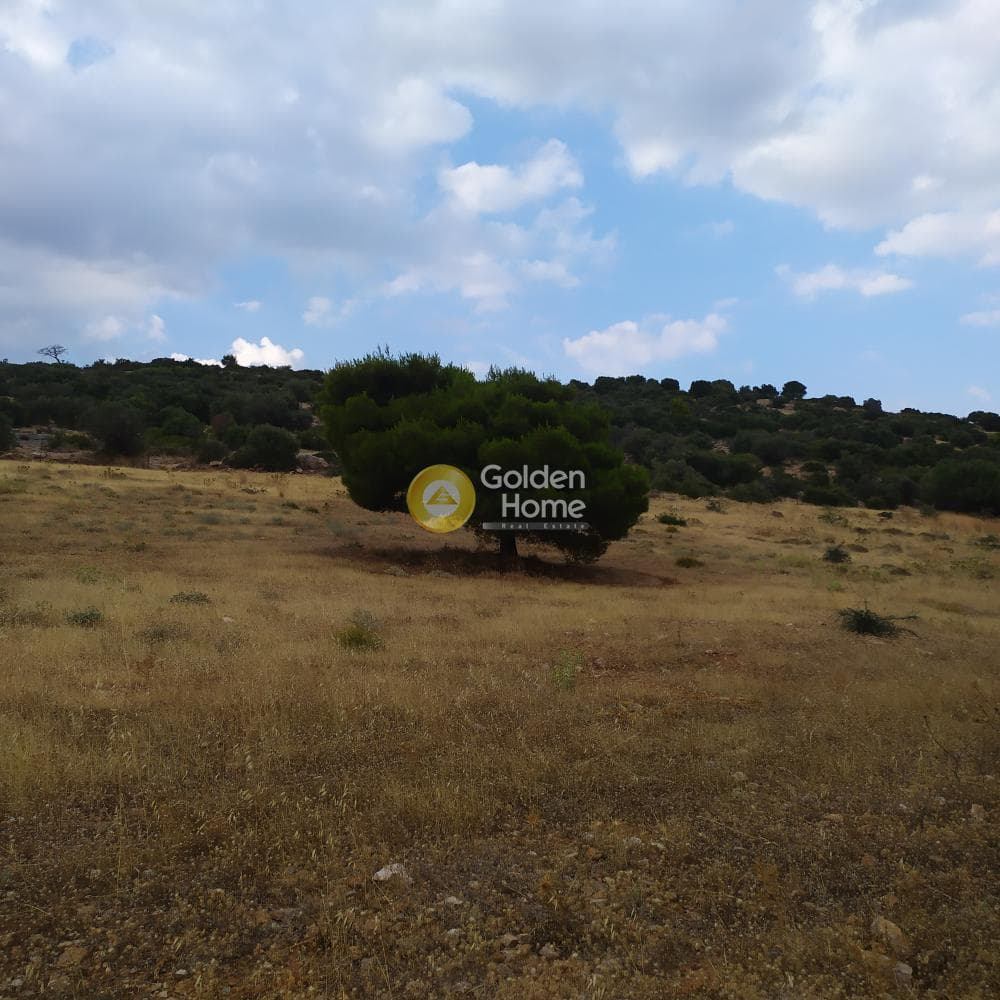 Οικόπεδο στην Γαλάζια ακτή, Καλύβια Θορικού — Φωτογραφία 3 από 11