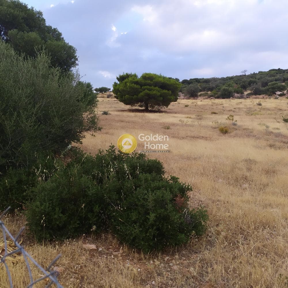 Οικόπεδο στην Γαλάζια ακτή, Καλύβια Θορικού — Φωτογραφία 8 από 11