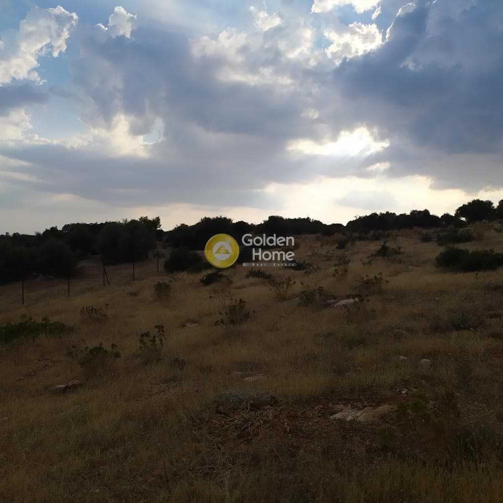 Οικόπεδο στην Γαλάζια ακτή, Καλύβια Θορικού — Φωτογραφία 9 από 11
