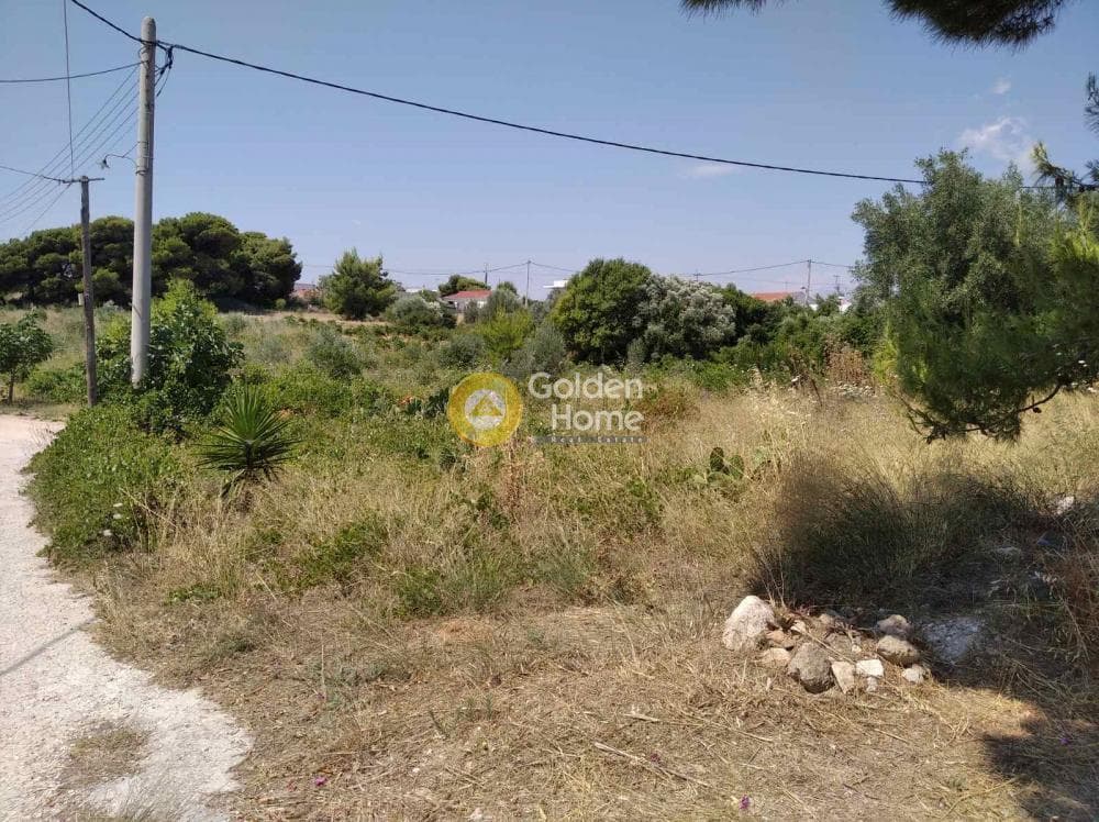 Parcel in Agios Serafeim, Artemida (Loutsa) — Photo 1 of 4