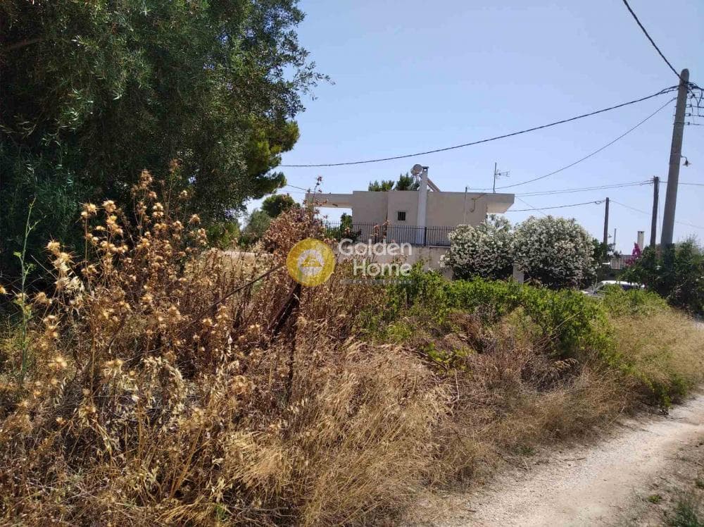 Parcel in Agios Serafeim, Artemida (Loutsa) — Photo 3 of 4