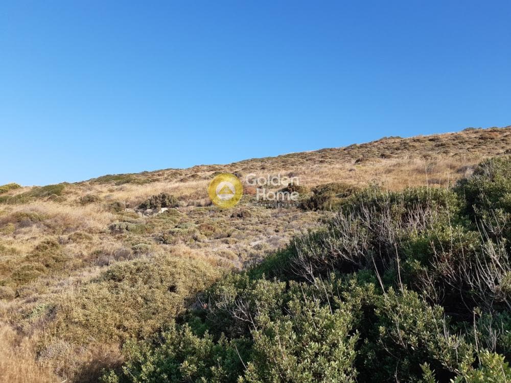 Αγροτεμάχιο στην Παραλία Δασκαλειού, Κερατέα — Φωτογραφία 1 από 6