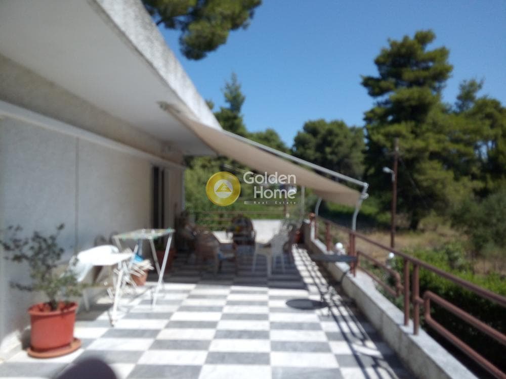 House in Dasos Kouremenou, Agios Stefanos — Photo 18 of 24