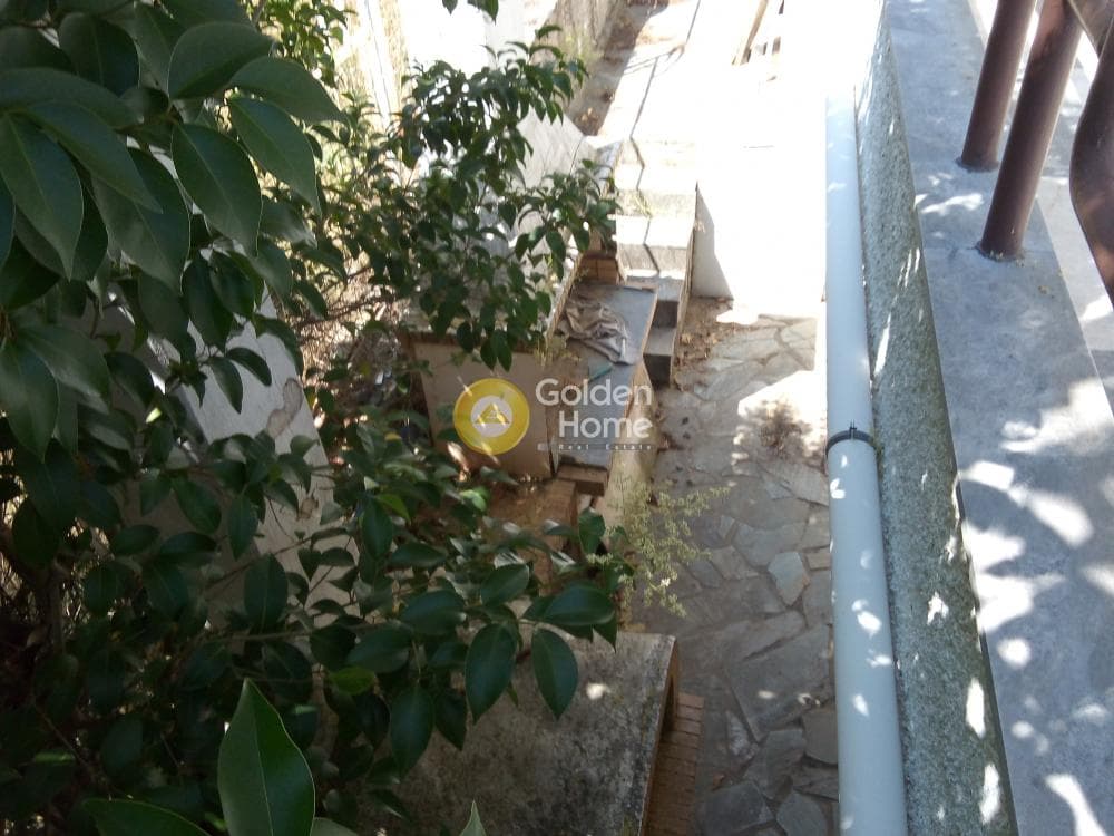 House in Dasos Kouremenou, Agios Stefanos — Photo 22 of 24