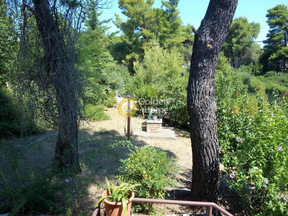 House in Dasos Kouremenou, Agios Stefanos — Photo 24 of 24