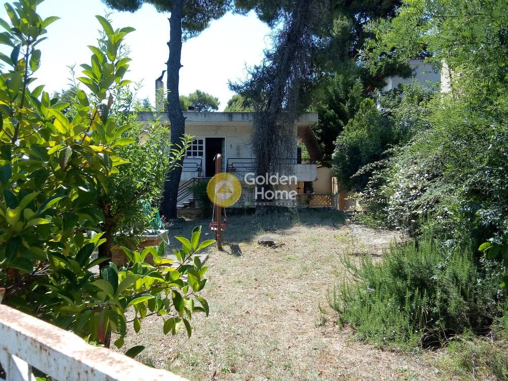 House in Dasos Kouremenou, Agios Stefanos — Photo 17 of 24