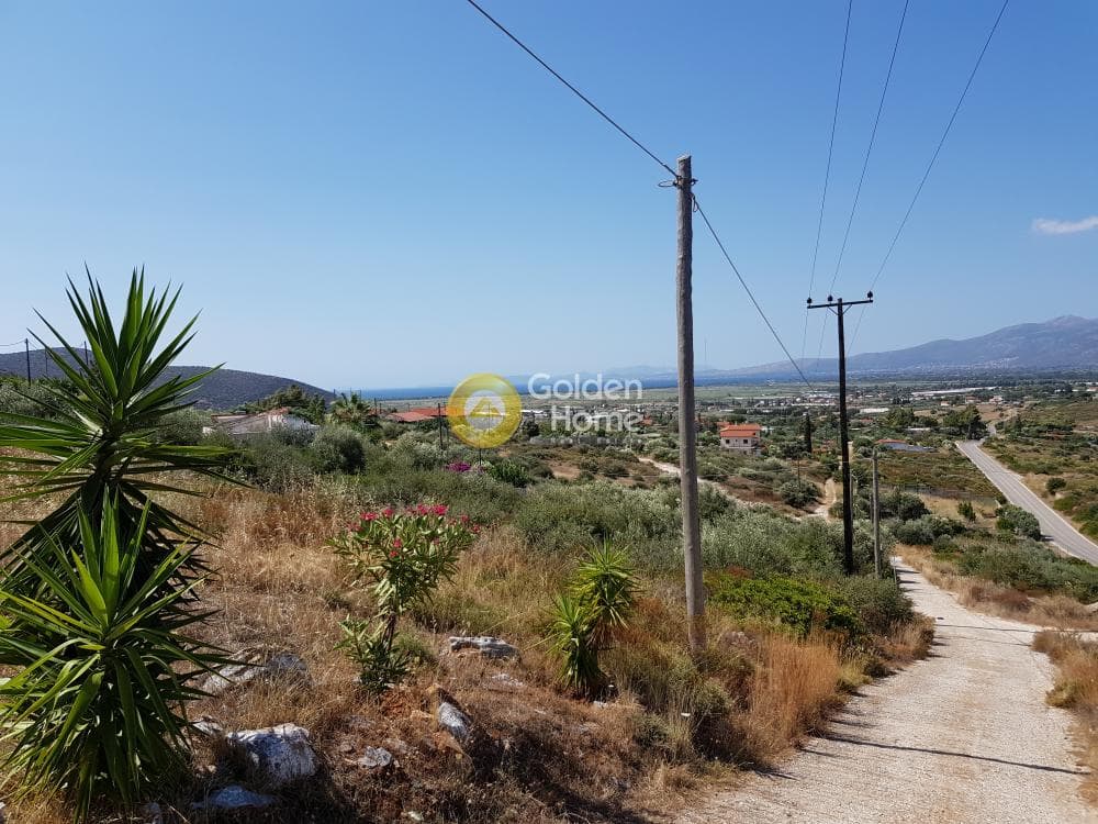 Αγροτεμάχιο στην Άνω Σούλι, Γραμματικό — Φωτογραφία 1 από 9
