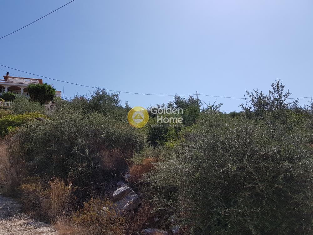 Αγροτεμάχιο στην Άνω Σούλι, Γραμματικό — Φωτογραφία 4 από 9