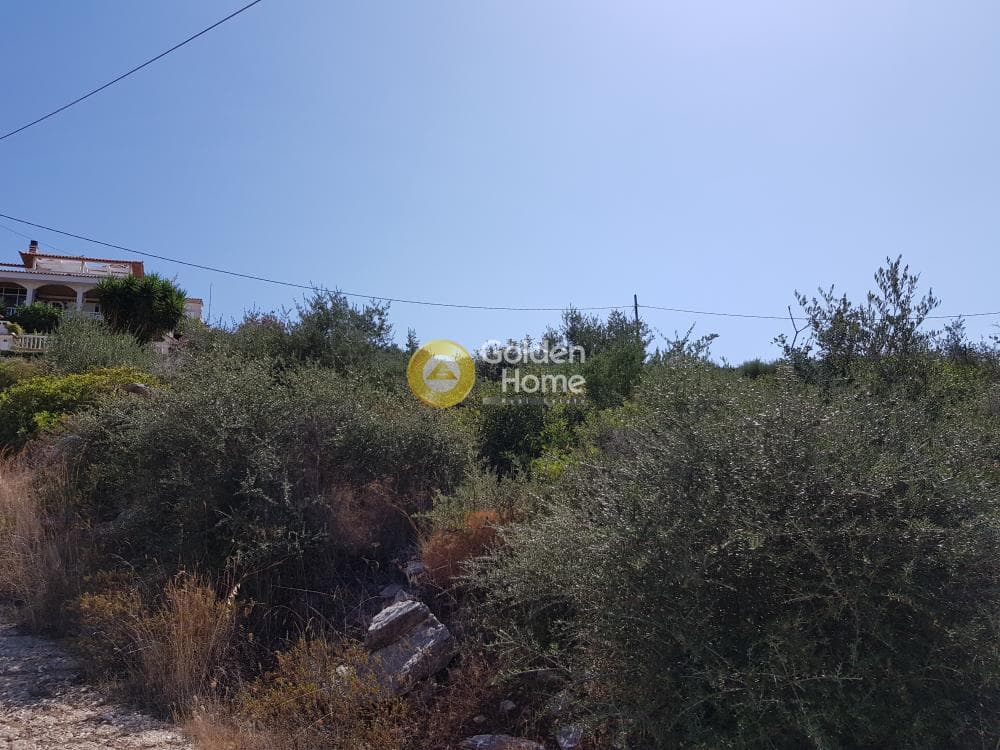 Αγροτεμάχιο στην Άνω Σούλι, Γραμματικό — Φωτογραφία 5 από 9