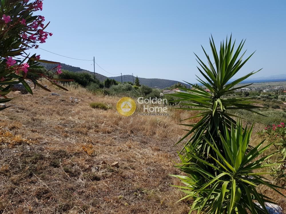 Αγροτεμάχιο στην Άνω Σούλι, Γραμματικό — Φωτογραφία 6 από 9