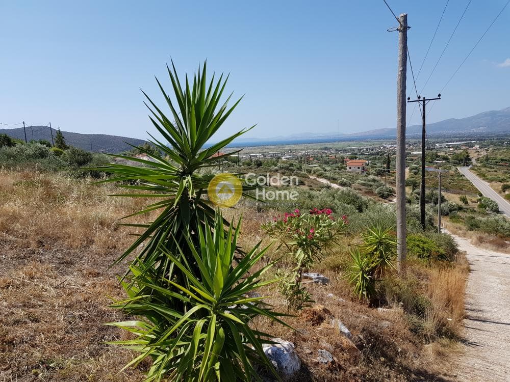 Αγροτεμάχιο στην Άνω Σούλι, Γραμματικό — Φωτογραφία 7 από 9