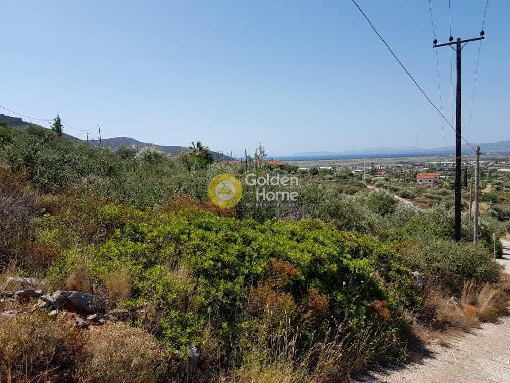 Αγροτεμάχιο στην Άνω Σούλι, Γραμματικό — Φωτογραφία 8 από 9
