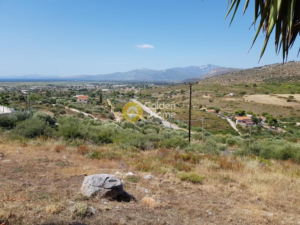 Αγροτεμάχιο στην Άνω Σούλι, Γραμματικό — Φωτογραφία 3 από 9