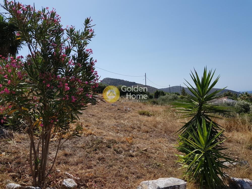 Αγροτεμάχιο στην Άνω Σούλι, Γραμματικό — Φωτογραφία 9 από 9