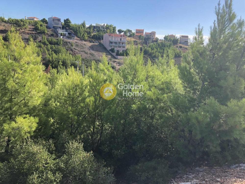 Οικόπεδο στην Δασαμάρι, Πικέρμι — Φωτογραφία 1 από 5