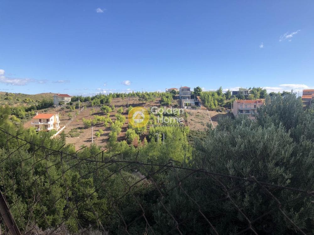 Οικόπεδο στην Δασαμάρι, Πικέρμι — Φωτογραφία 4 από 5