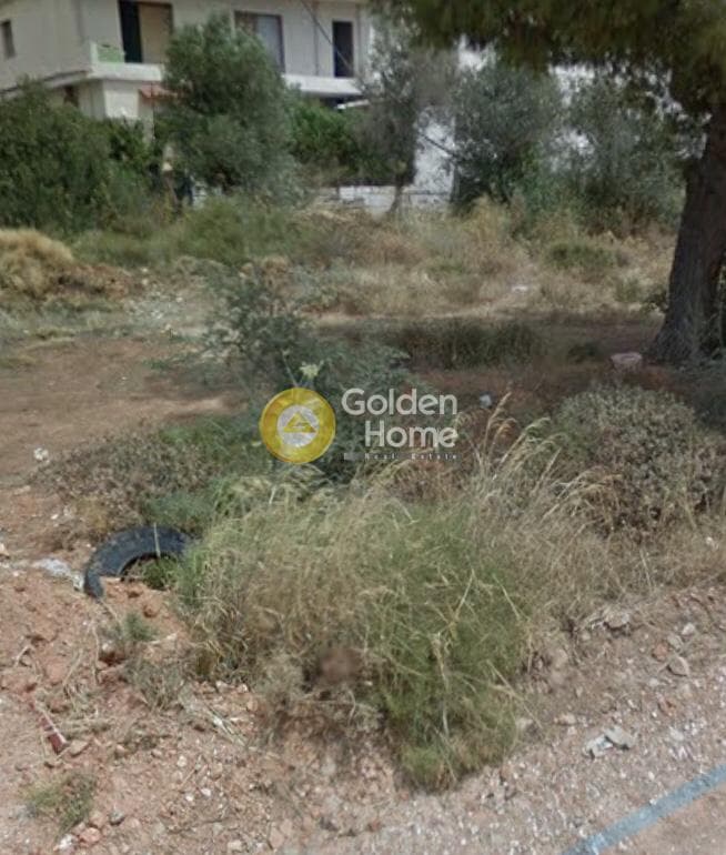 Parcel in Patima, Chalandri — Photo 2 of 3