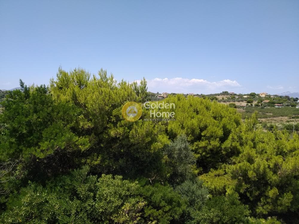 Μονοκατοικία στην Κουλιδάς, Μαρκόπουλο — Φωτογραφία 69 από 75