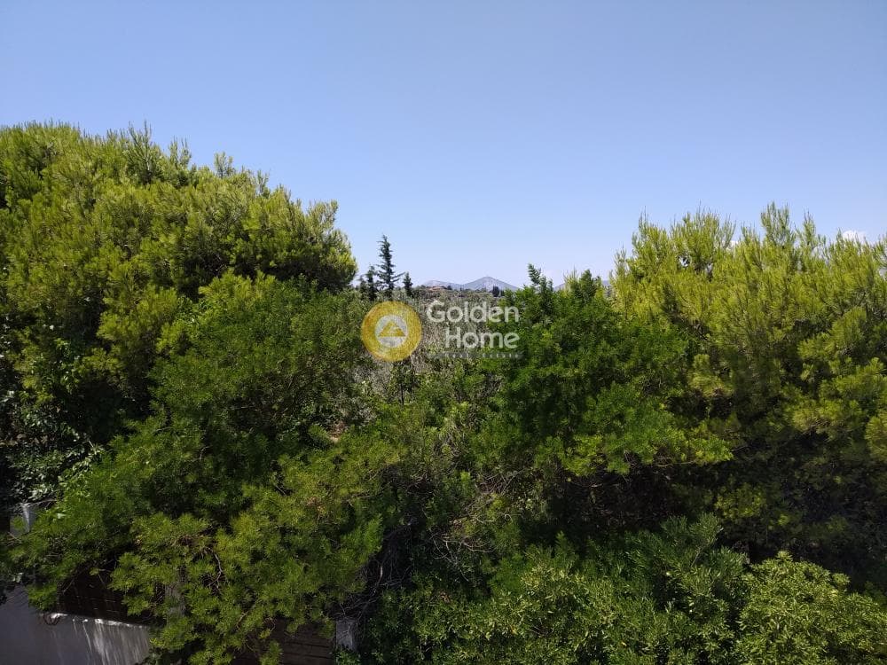 Μονοκατοικία στην Κουλιδάς, Μαρκόπουλο — Φωτογραφία 70 από 75