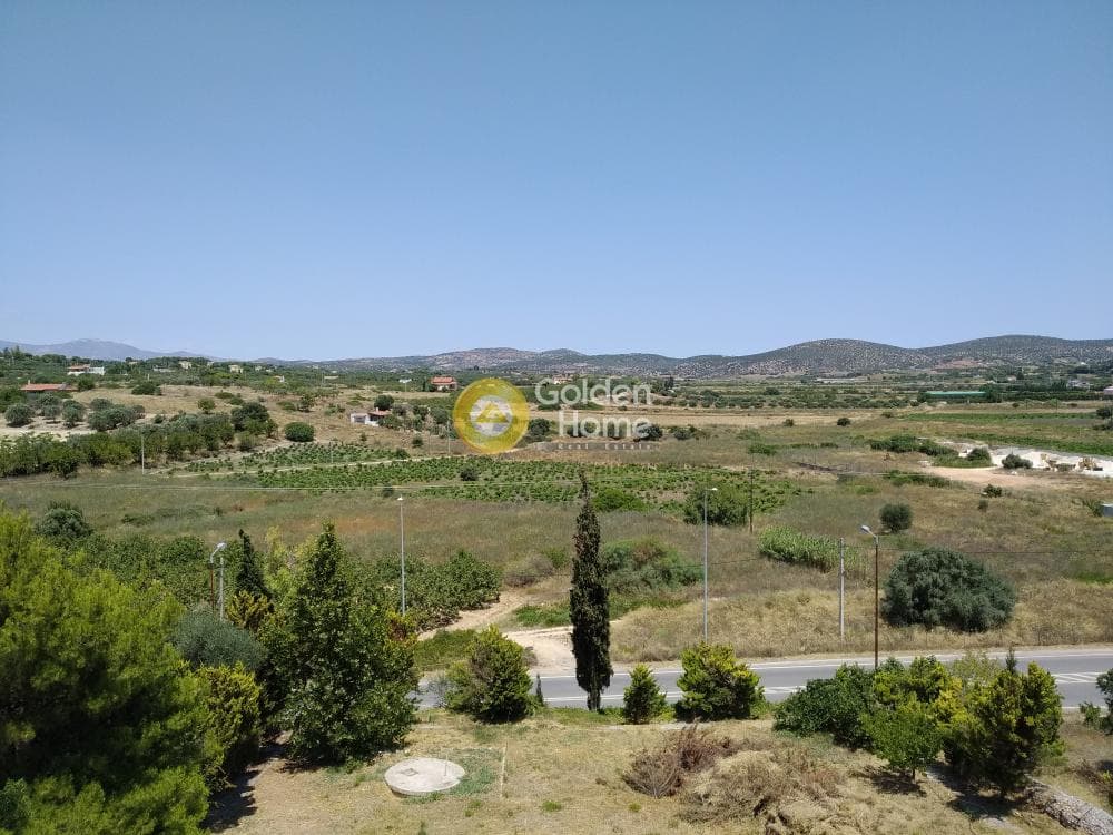 Μονοκατοικία στην Κουλιδάς, Μαρκόπουλο — Φωτογραφία 72 από 75