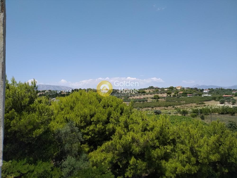 Μονοκατοικία στην Κουλιδάς, Μαρκόπουλο — Φωτογραφία 73 από 75