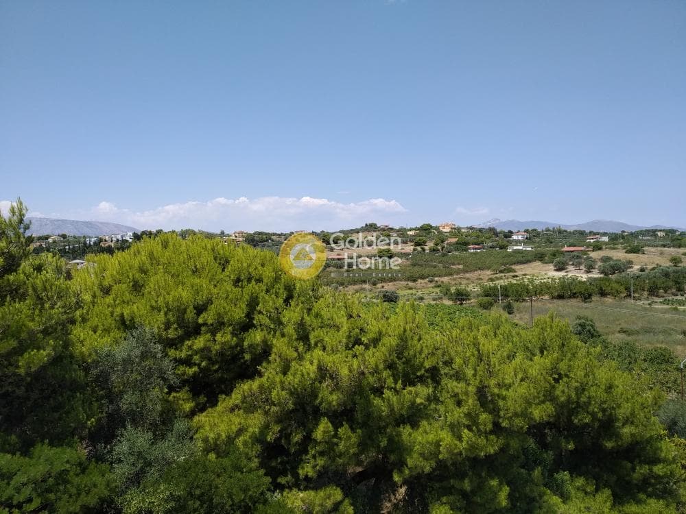 Μονοκατοικία στην Κουλιδάς, Μαρκόπουλο — Φωτογραφία 74 από 75