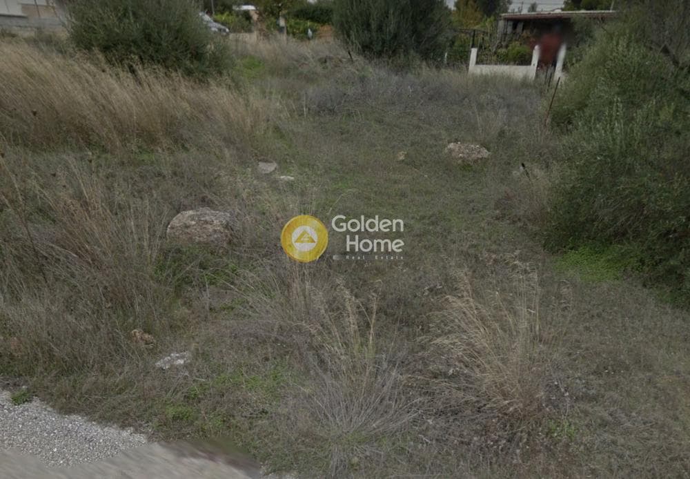 Αγροτεμάχιο στην Άγιος Σεραφείμ, Αρτέμιδα (Λούτσα) — Φωτογραφία 1 από 4