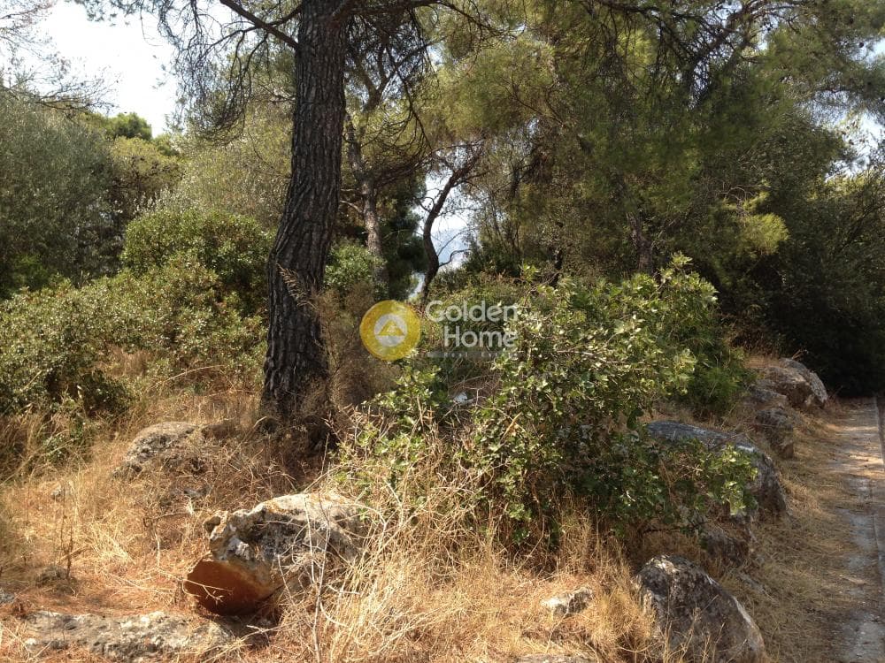 Οικόπεδο στην Άνω Μπαλάνα, Παλλήνη — Φωτογραφία 1 από 15