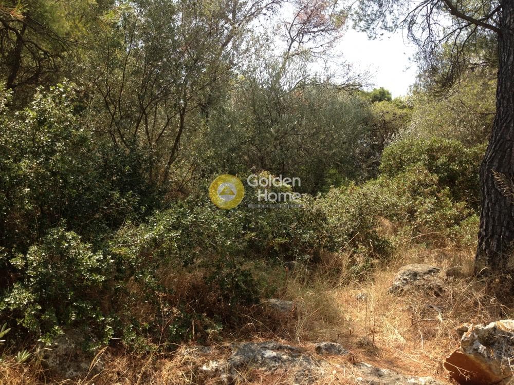 Οικόπεδο στην Άνω Μπαλάνα, Παλλήνη — Φωτογραφία 2 από 15