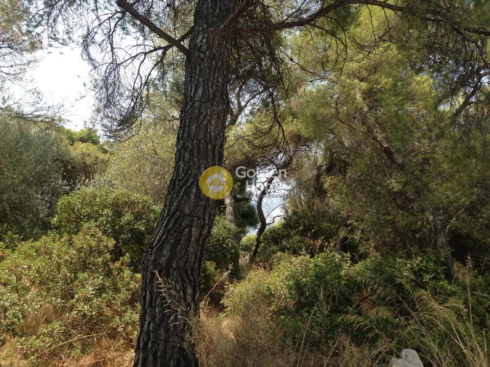 Οικόπεδο στην Άνω Μπαλάνα, Παλλήνη — Φωτογραφία 5 από 15