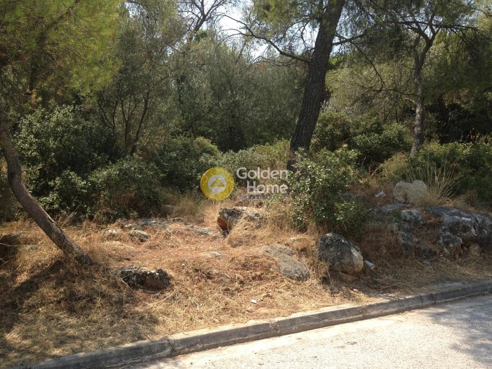 Οικόπεδο στην Άνω Μπαλάνα, Παλλήνη — Φωτογραφία 6 από 15