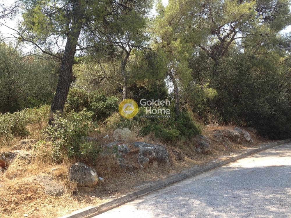 Οικόπεδο στην Άνω Μπαλάνα, Παλλήνη — Φωτογραφία 7 από 15