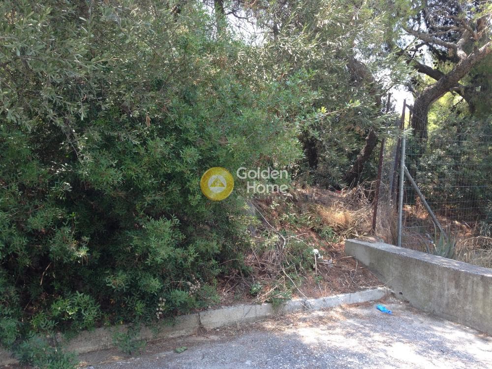 Οικόπεδο στην Άνω Μπαλάνα, Παλλήνη — Φωτογραφία 9 από 15