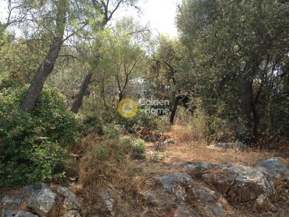 Οικόπεδο στην Άνω Μπαλάνα, Παλλήνη — Φωτογραφία 10 από 15