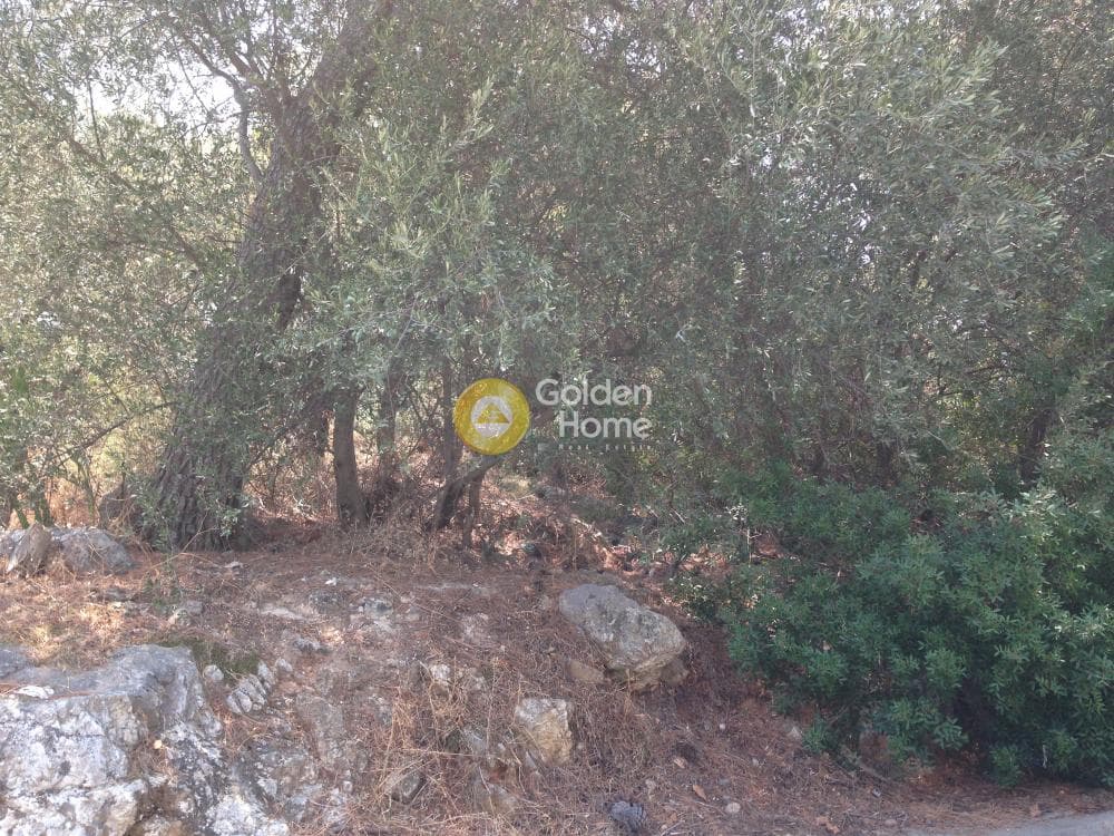 Οικόπεδο στην Άνω Μπαλάνα, Παλλήνη — Φωτογραφία 13 από 15