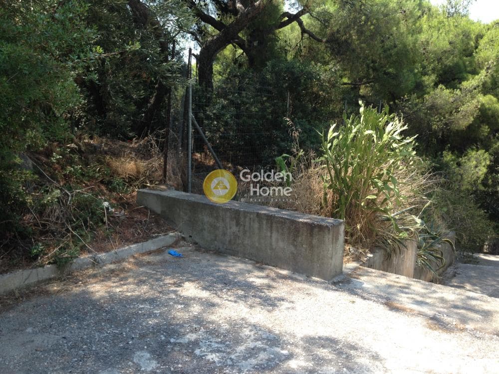 Οικόπεδο στην Άνω Μπαλάνα, Παλλήνη — Φωτογραφία 14 από 15