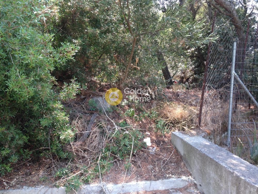 Οικόπεδο στην Άνω Μπαλάνα, Παλλήνη — Φωτογραφία 15 από 15