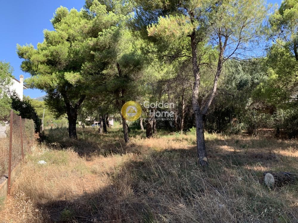 Οικόπεδο στην Μεγάλα Σχοινία Α, Αχαρνές — Φωτογραφία 1 από 4