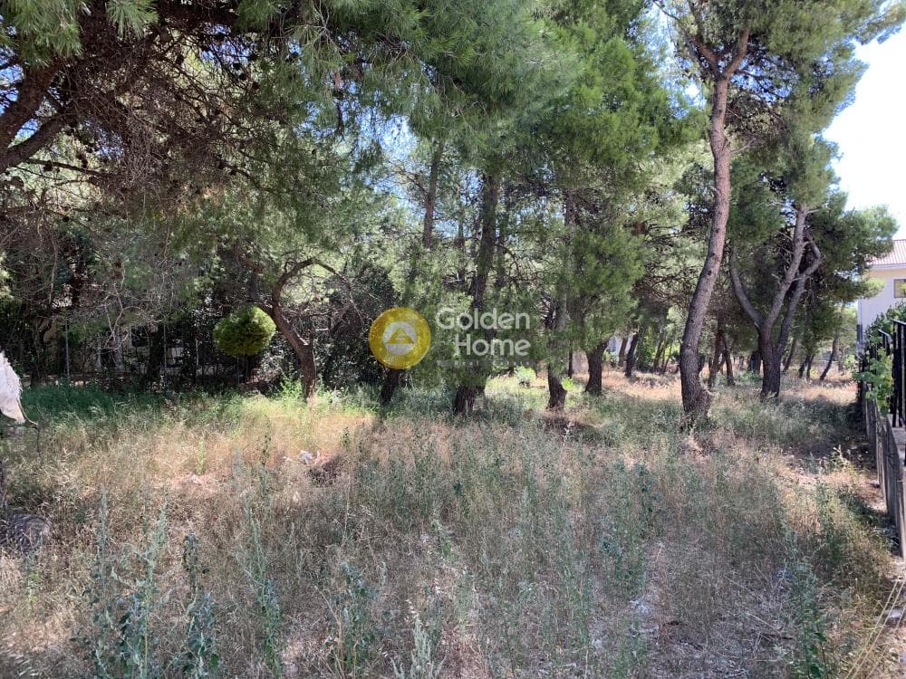 Οικόπεδο στην Μεγάλα Σχοινία Α, Αχαρνές — Φωτογραφία 2 από 4