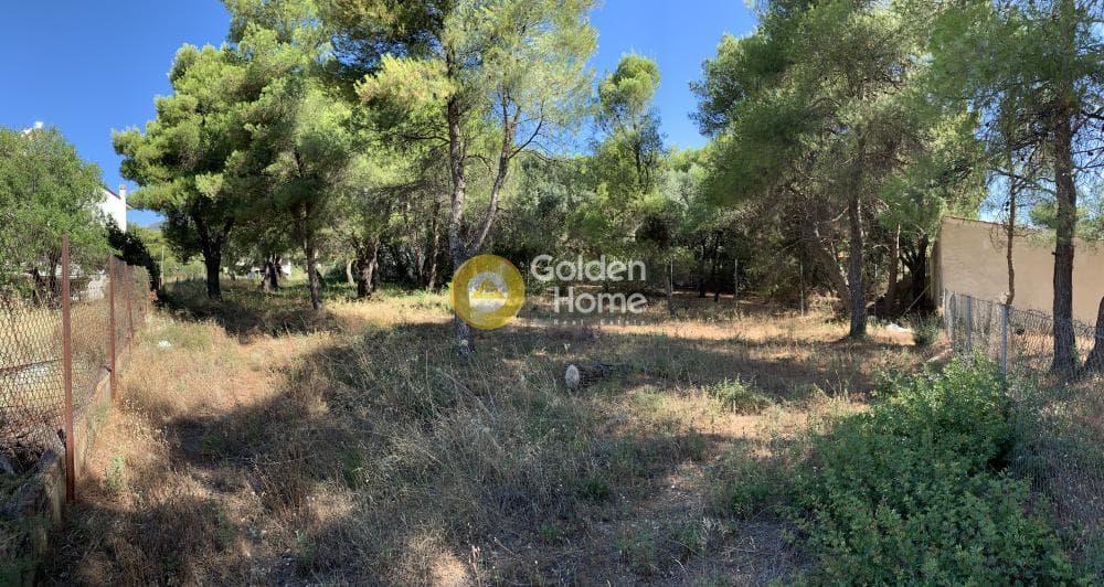 Οικόπεδο στην Μεγάλα Σχοινία Α, Αχαρνές — Φωτογραφία 3 από 4