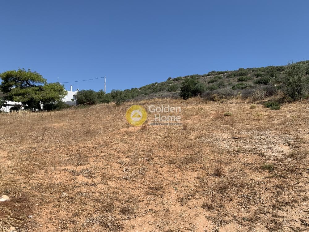 Οικόπεδο στην Πόρτο Ράφτη, Βραυρώνα — Φωτογραφία 1 από 5