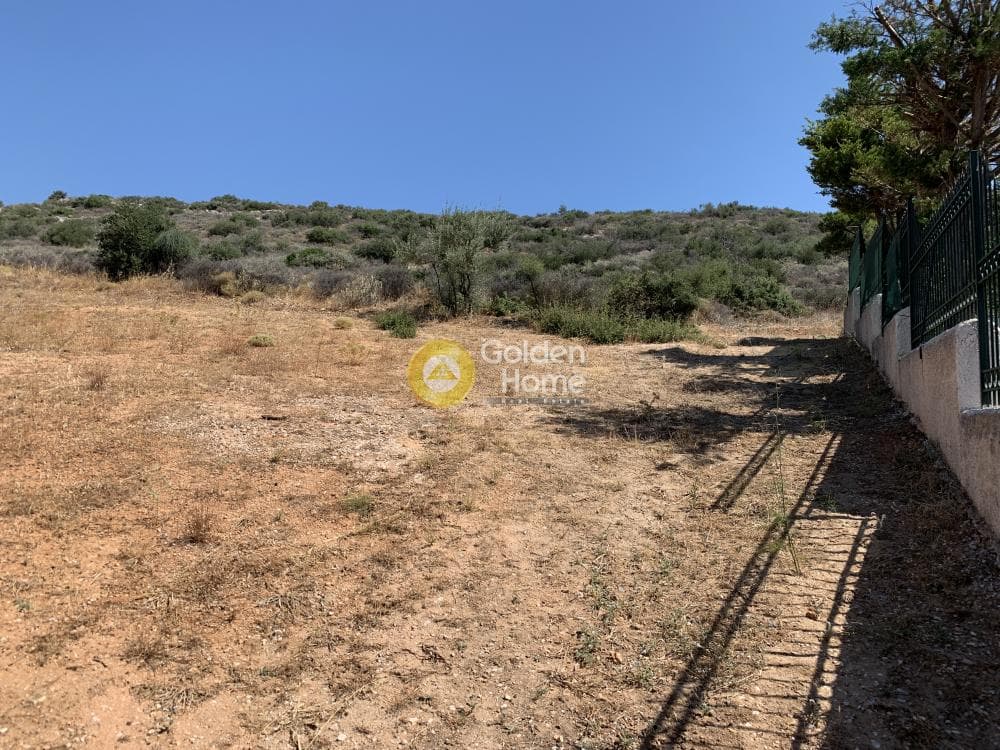 Οικόπεδο στην Πόρτο Ράφτη, Βραυρώνα — Φωτογραφία 3 από 5