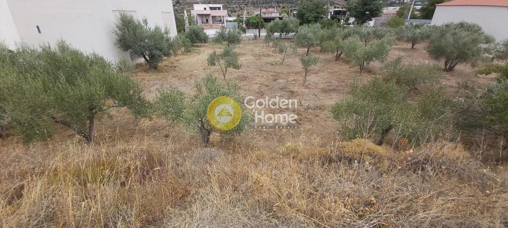 Building Plot in Κέντρο, Kalivia Thorikou — Photo 3 of 18