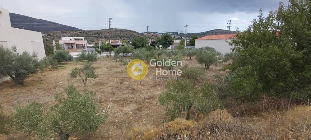 Building Plot in Κέντρο, Kalivia Thorikou — Photo 5 of 18
